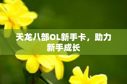 天龙八部OL新手卡图片