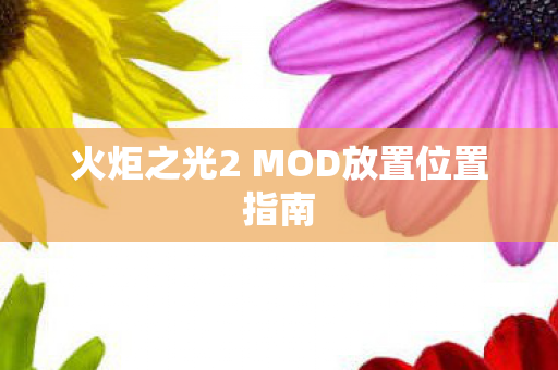 火炬之光2 MOD放置位置指南图片