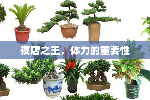 体力的重要性图片
