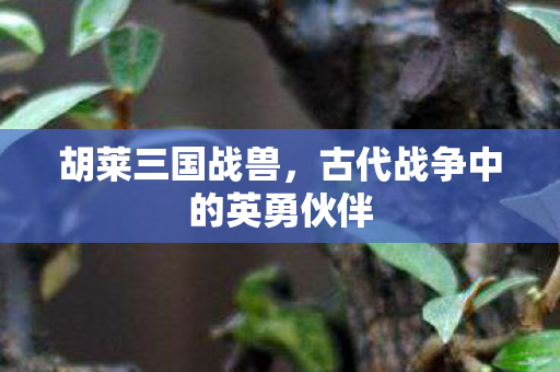 古代战争中的英勇伙伴图片