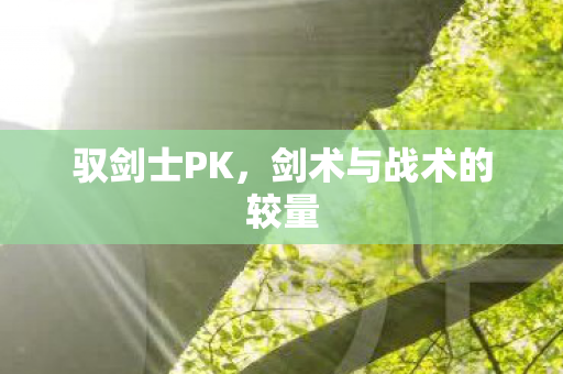 剑术与战术的较量图片