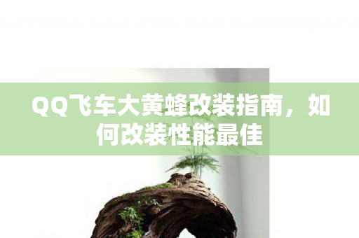 QQ飞车大黄蜂改装指南图片