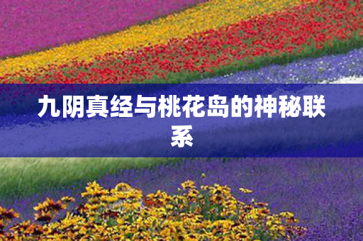九阴真经与桃花岛的神秘联系图片