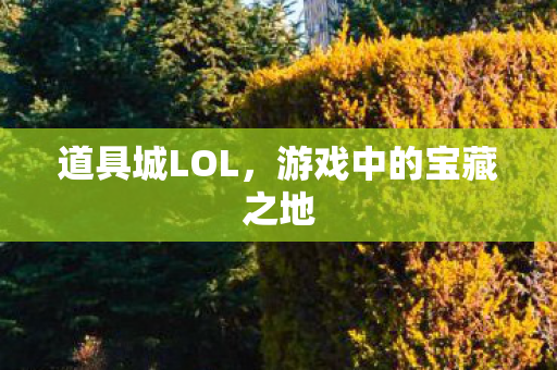 游戏中的宝藏之地图片