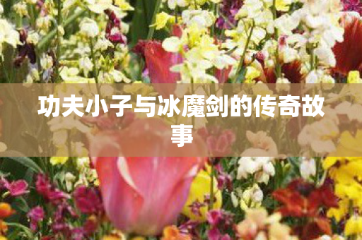 功夫小子与冰魔剑的传奇故事图片