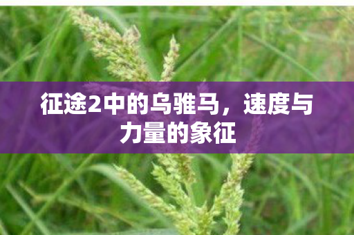 征途2中的乌骓马图片