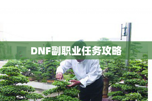 DNF副职业任务攻略图片