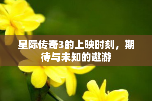 星际传奇3的上映时刻图片