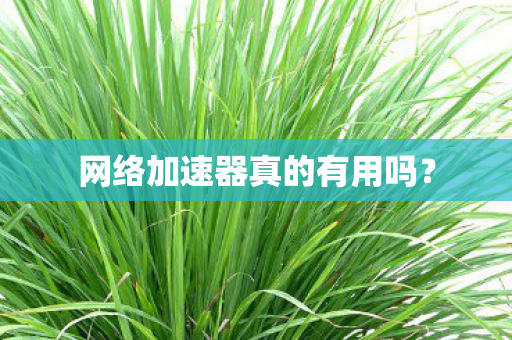 网络加速器真的有用吗图片