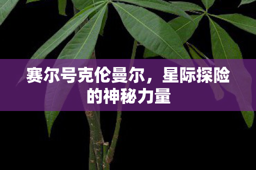 星际探险的神秘力量图片