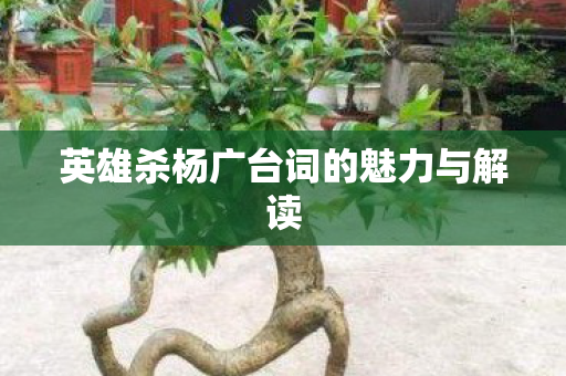 英雄杀杨广台词的魅力与解读图片