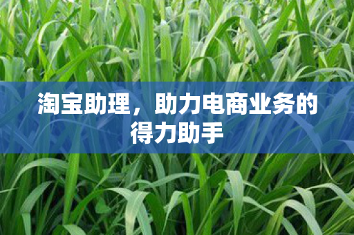 助力电商业务的得力助手图片