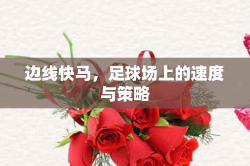 足球场上的速度与策略图片