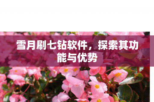 探索其功能与优势图片