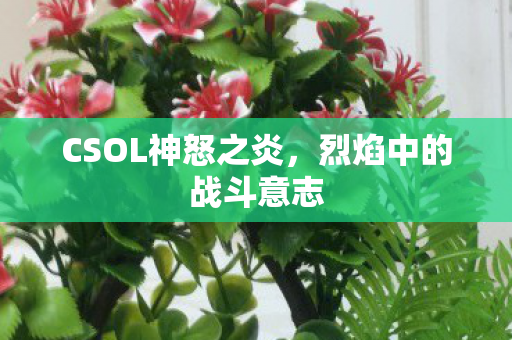 CSOL神怒之炎图片