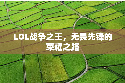 无畏先锋的荣耀之路图片