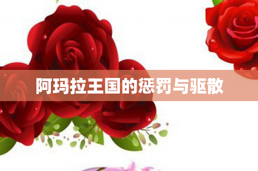 阿玛拉王国的惩罚与驱散图片