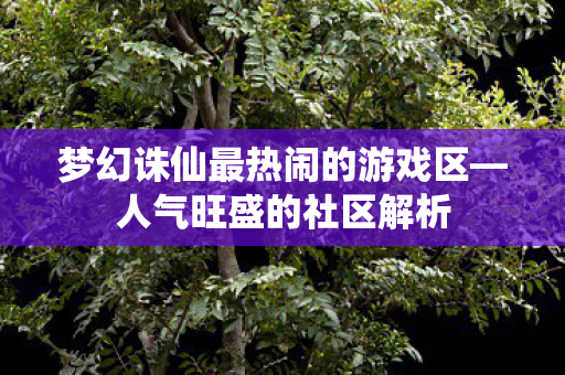 梦幻诛仙最热闹的游戏区图片