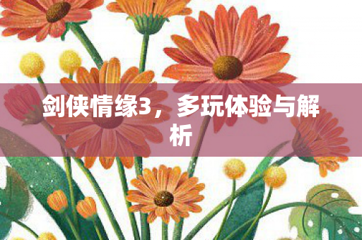 多玩体验与解析图片