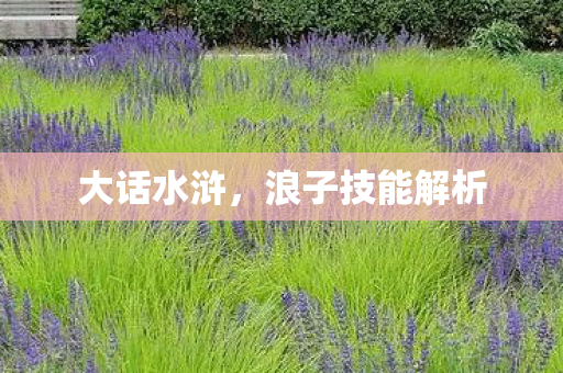 浪子技能解析图片
