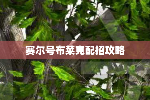 赛尔号布莱克配招攻略图片