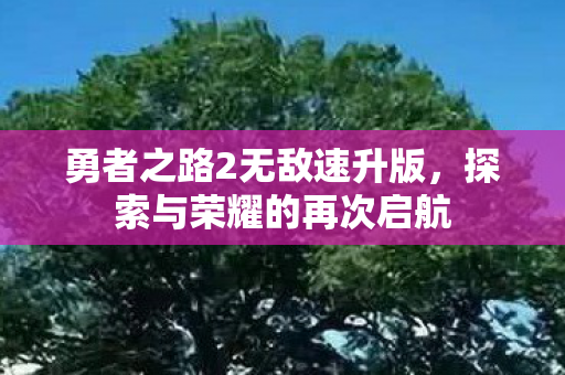 勇者之路2无敌速升版图片