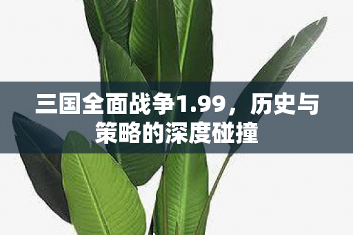 历史与策略的深度碰撞图片