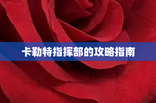 卡勒特指挥部的攻略指南图片