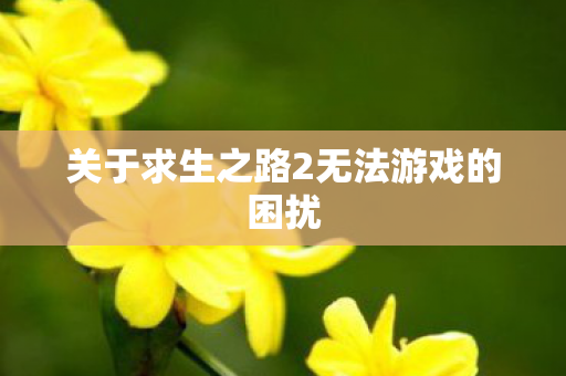 关于求生之路2无法游戏的困扰图片