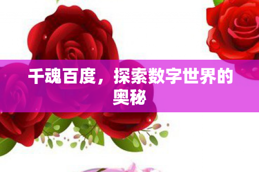 探索数字世界的奥秘图片