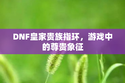 DNF皇家贵族指环图片