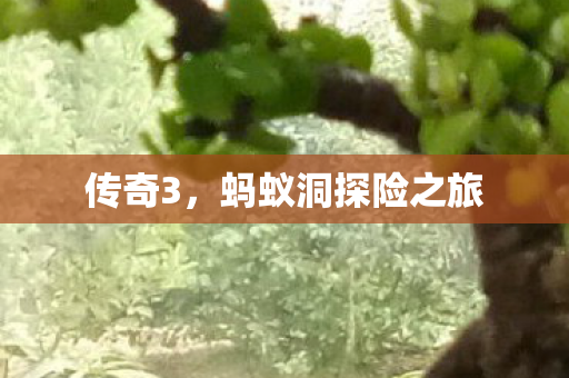 蚂蚁洞探险之旅图片