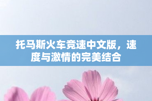 托马斯火车竞速中文版图片