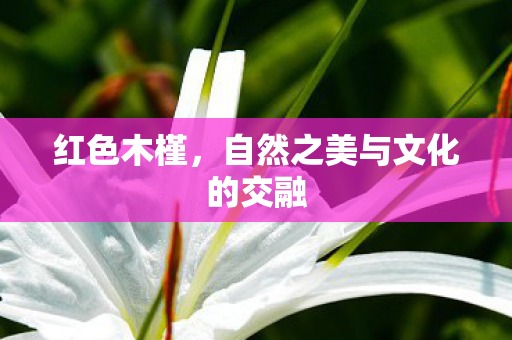 自然之美与文化的交融图片