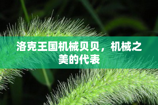 洛克王国机械贝贝图片