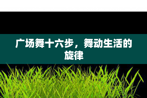 舞动生活的旋律图片