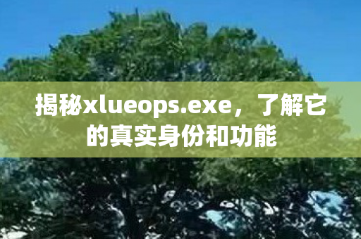 了解它的真实身份和功能图片