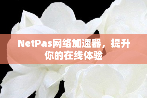 NetPas网络加速器图片