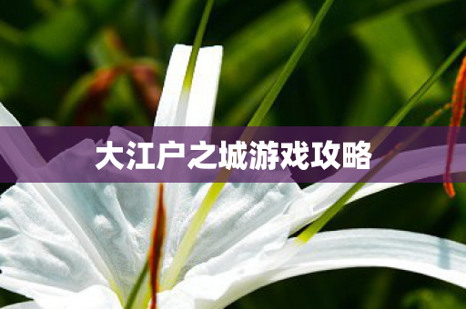 大江户之城游戏攻略图片