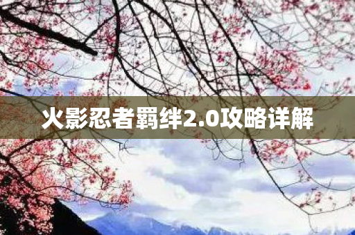 火影忍者羁绊2图片