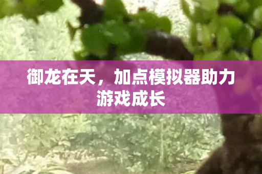 加点模拟器助力游戏成长图片