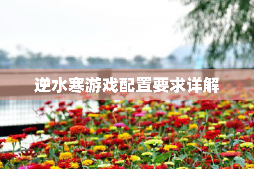 逆水寒游戏配置要求详解图片