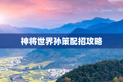 神将世界孙策配招攻略图片