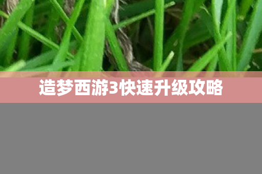 造梦西游3快速升级攻略图片