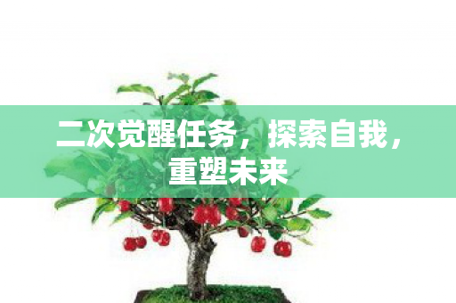 二次觉醒任务图片