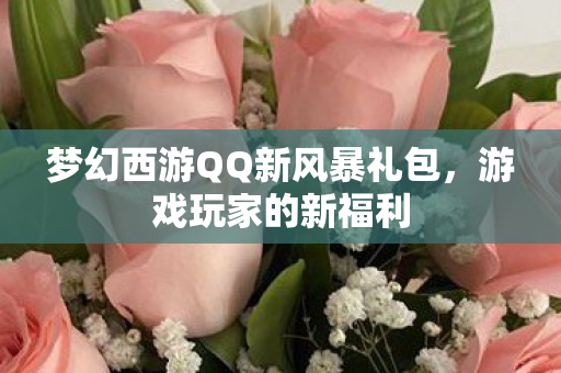 梦幻西游QQ新风暴礼包图片