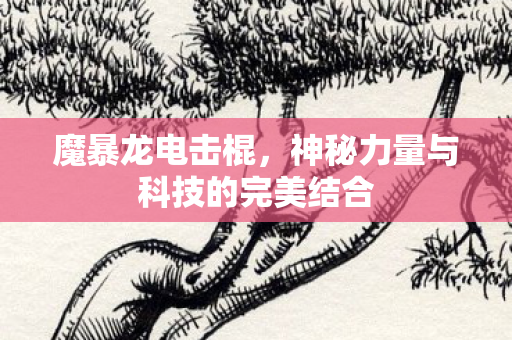 神秘力量与科技的完美结合图片