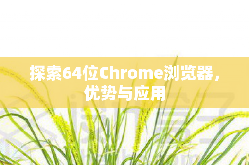 探索64位Chrome浏览器图片
