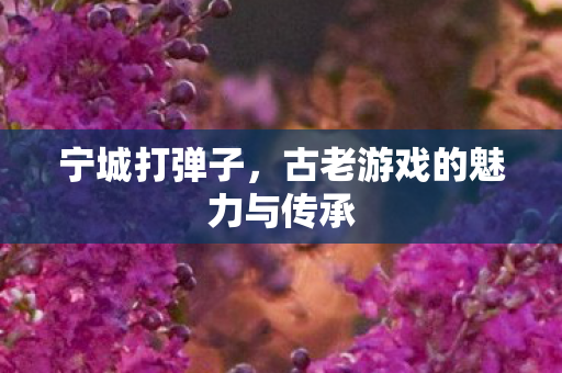 古老游戏的魅力与传承图片