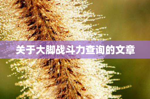 关于大脚战斗力查询的文章图片